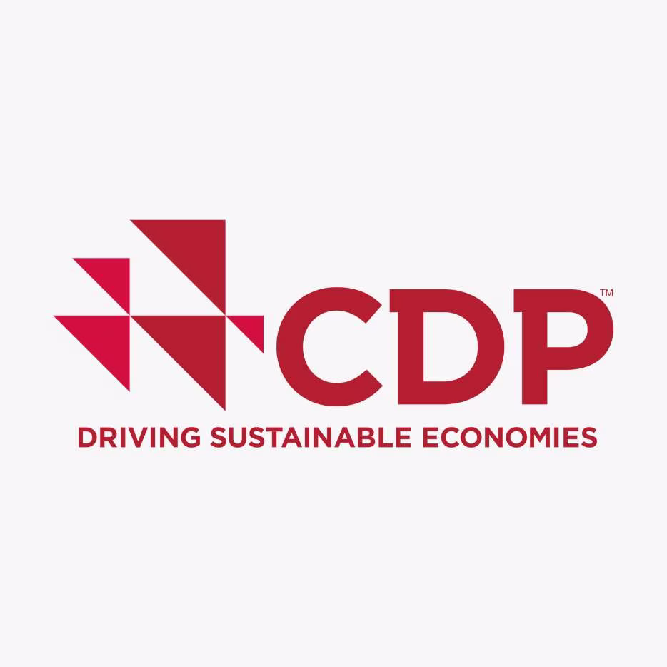 Driving Sustainable Economies